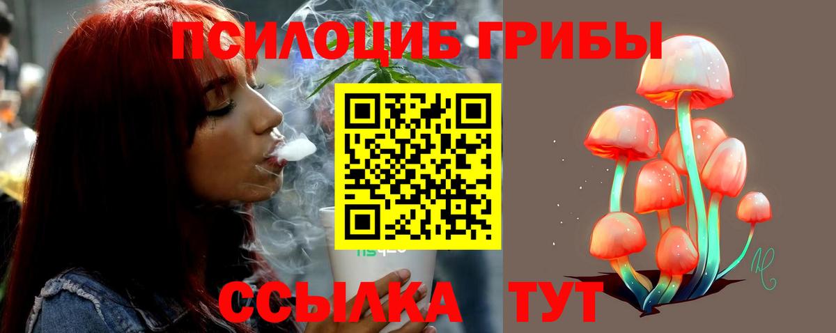 Выборг  Галлюциногенные грибы Psilocybe  Вход с VPN 